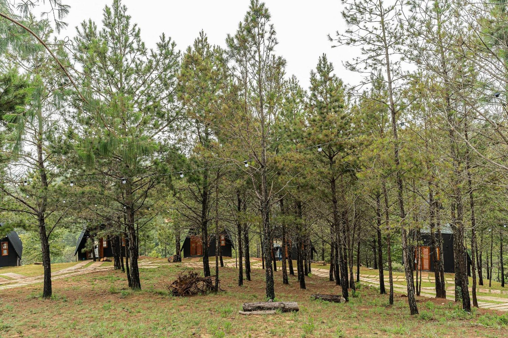 Chales Naturale - Campos Do Jordao - Cna Extérieur photo